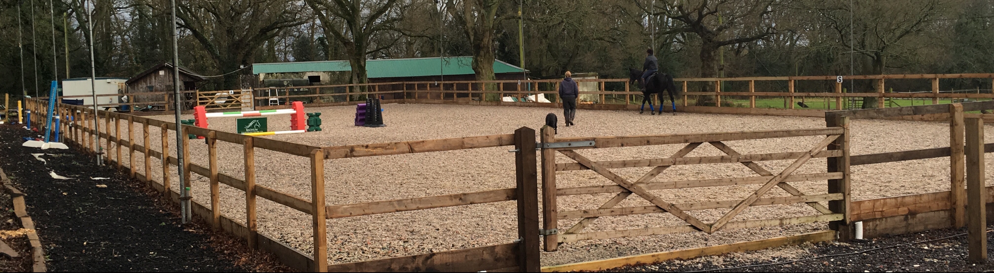 New Forest Horse Riding Bagnum Equestrian Centre Ltd